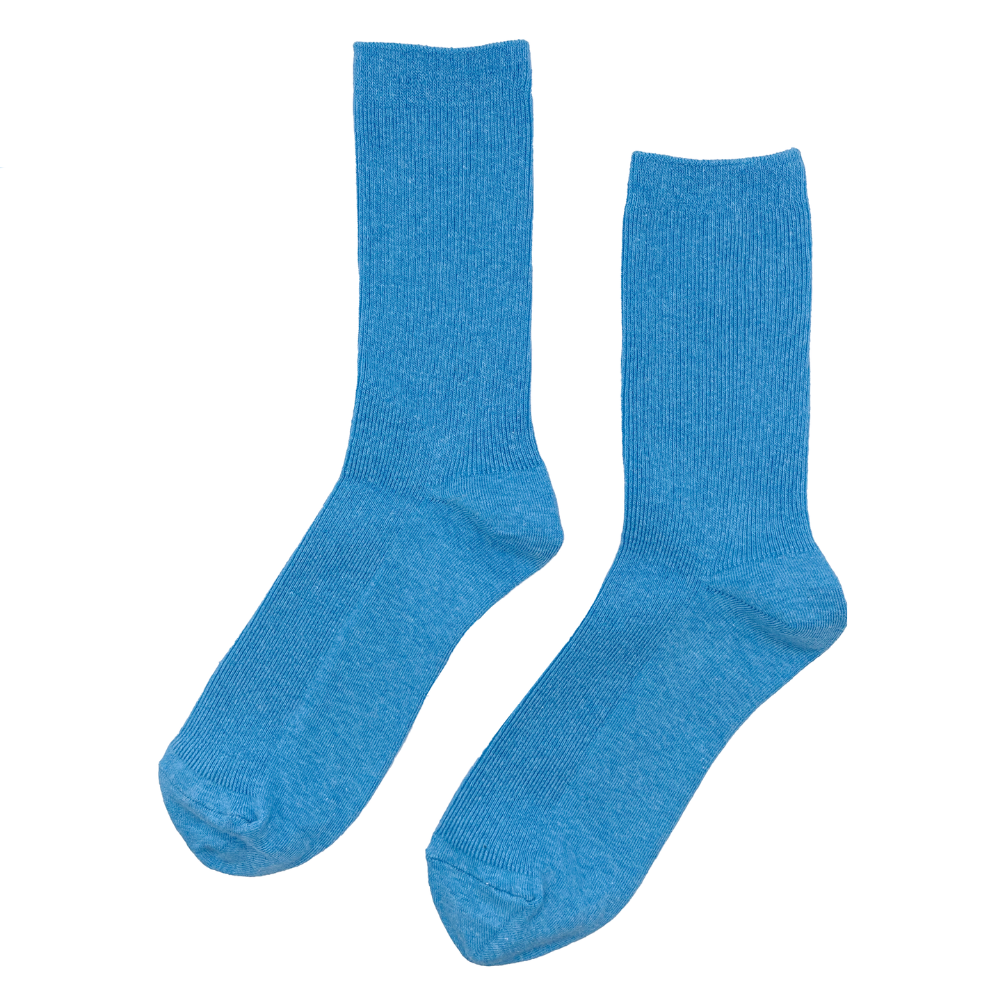 COLOUR RIBBED SOCKS | WOMEN