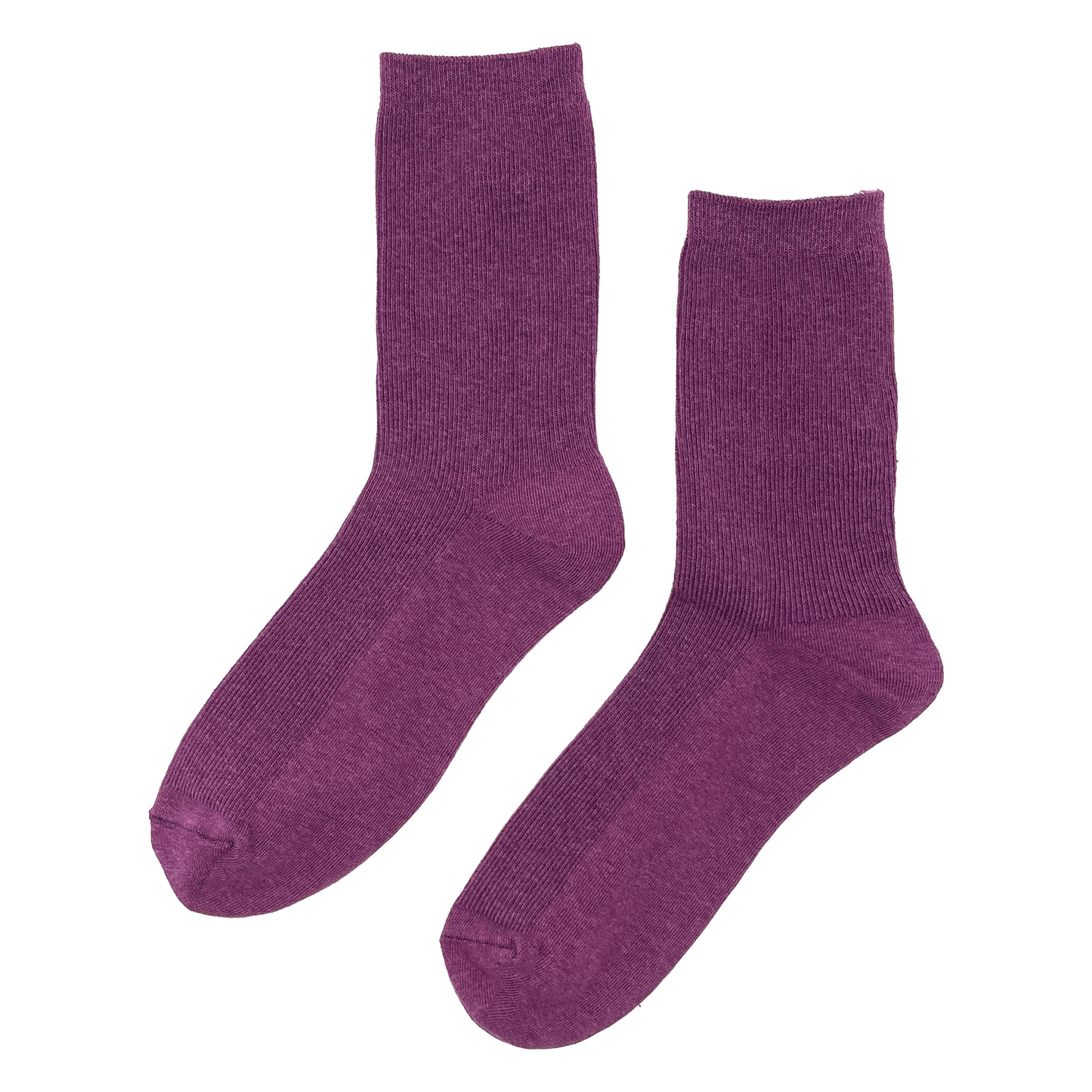 COLOUR RIBBED SOCKS | WOMEN